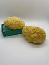 Load image into Gallery viewer, Dead Sea Sponge
